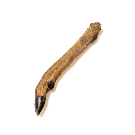 Nutriment Hairy Venison - Deer Legs