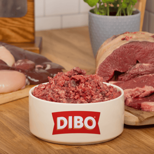 DIBO branded bowl with raw ox and chicken meat on a wooden surface with raw meats in the background.