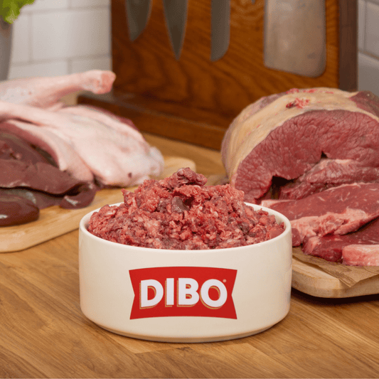 DIBO raw ox and duck pet food in a bowl with raw meat in the background on a wooden surface