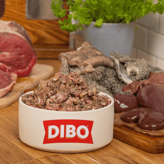 DIBO raw food bowl with raw offal and raw meat on a wooden surface