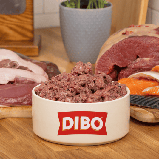 DIBO Finest raw food in a bowl with raw meat and fish in the background on a wooden surface