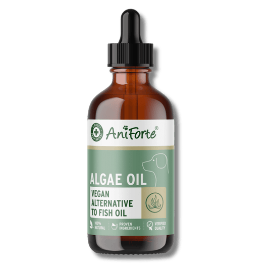 Aniforte Algae Oil 50ml