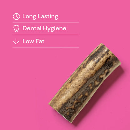 Nutriment Antlers