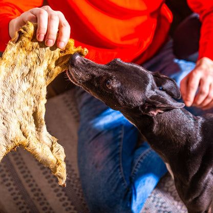 Nutriment Hairy Beef Bark