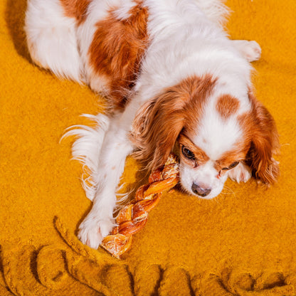Nutriment Braided Beef Tendon