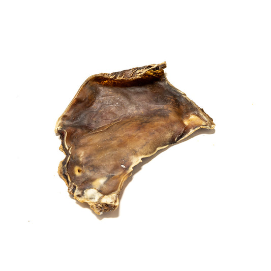 Nutriment Camel Skin Plates