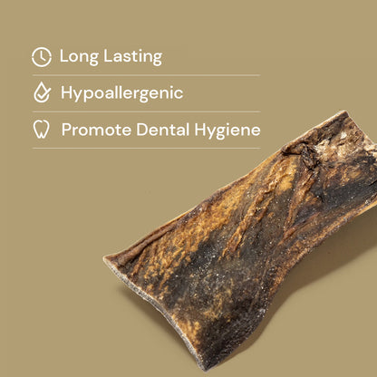 Nutriment Camel Skins