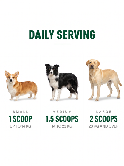 Aniforte Canine Prime