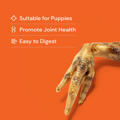 Nutriment Chicken Feet - Natural