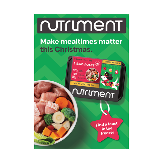 Raw 3 Bird Roast - Christmas Limited Edition A3 Poster - POS