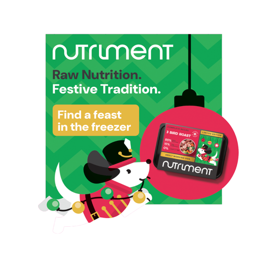 Raw 3 Bird Roast - Christmas Limited Edition Freezer Sticker - POS