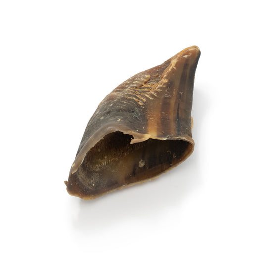 Nutriment Hooves "Hoofs"