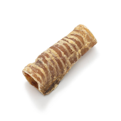 Nutriment Cut Trachea "Cut Gullet"