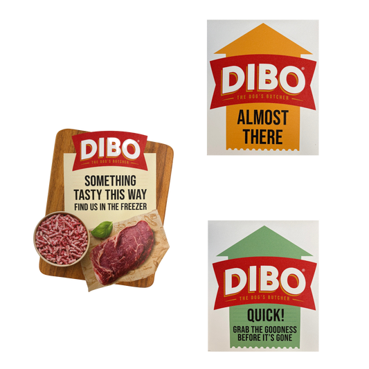 DIBO Floor Stickers - POS