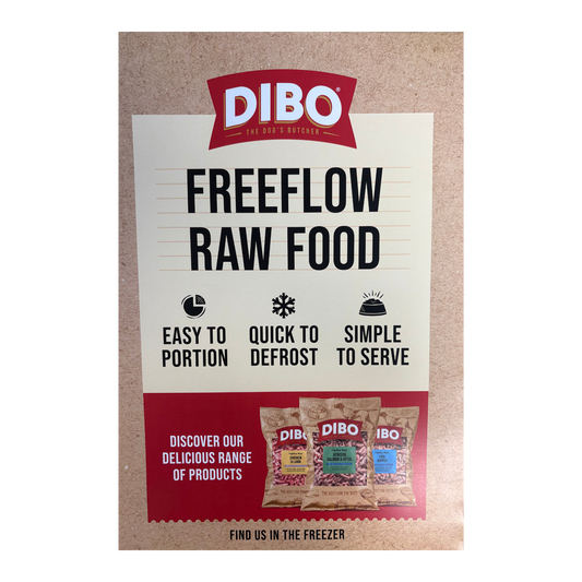 DIBO A2 Poster 'Freeflow Raw Food' - POS