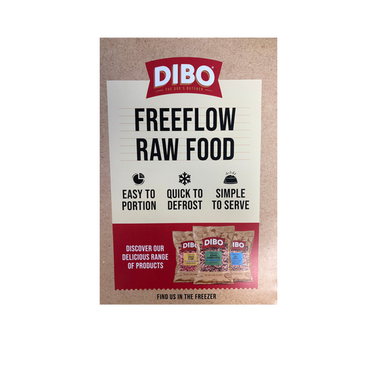 DIBO A3 Poster 'Freeflow Raw Food' - POS