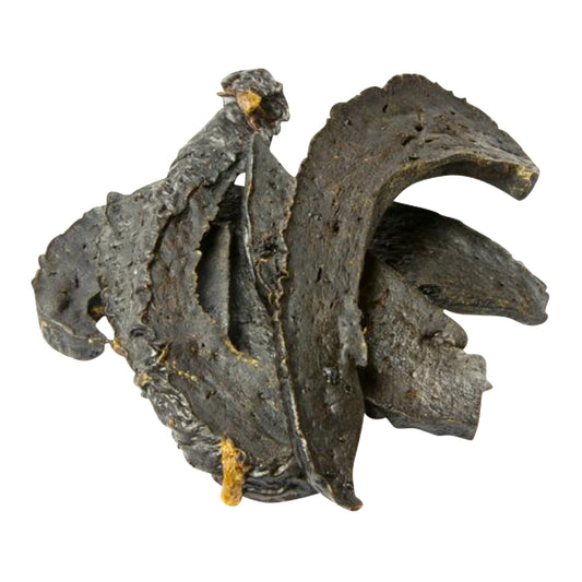 Nutriment Dried Beef Liver