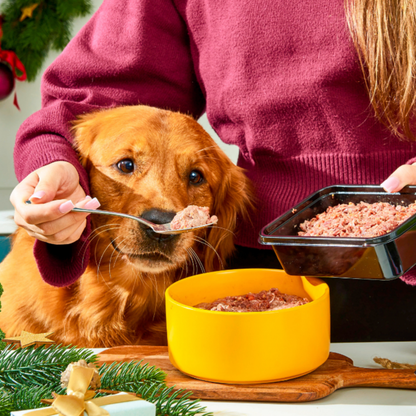 Raw Venison & Turkey 500g - Christmas Limited Edition