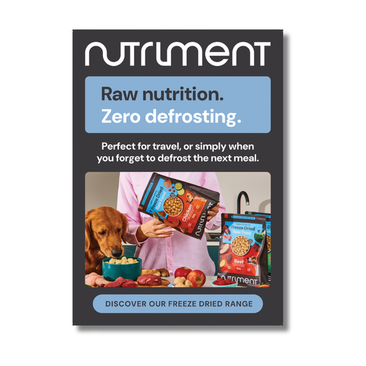 Freeze Dried A3 Poster - Lifestyle - POS