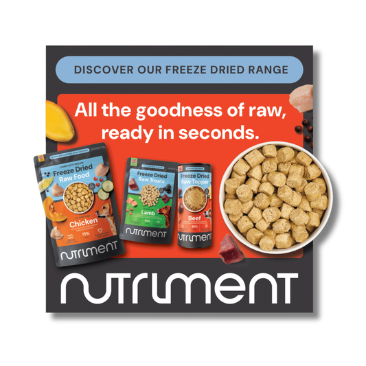 Freeze Dried Freezer Sticker - POS