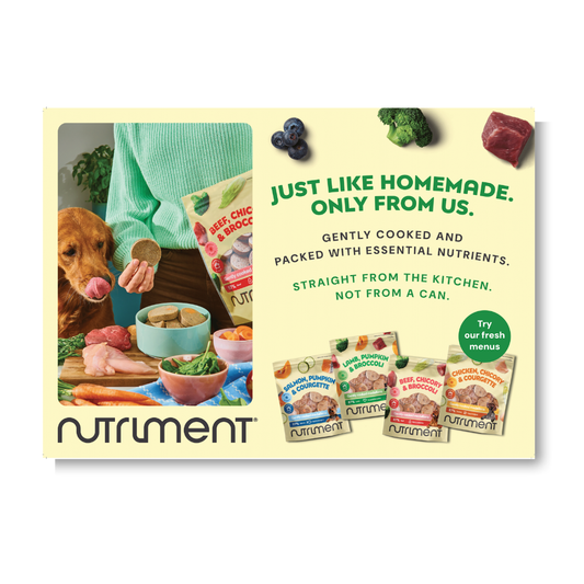 Fresh A3 Poster - POS