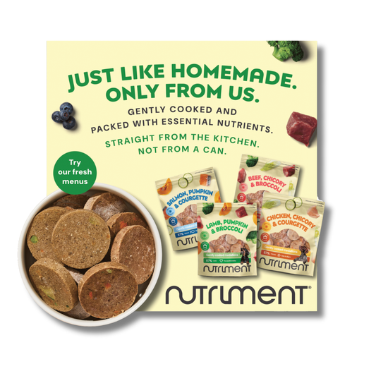 Fresh Freezer Sticker - POS