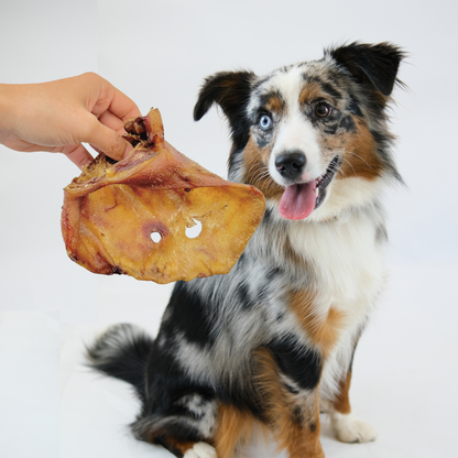 Nutriment Large Pigs Ears