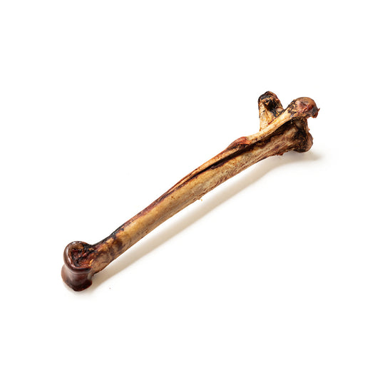 Nutriment Long Ostrich Bones