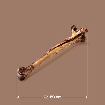 Nutriment Long Ostrich Bones