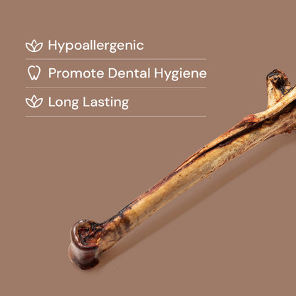 Nutriment Long Ostrich Bones