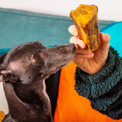 Nutriment British Marrow Bones (1pc)