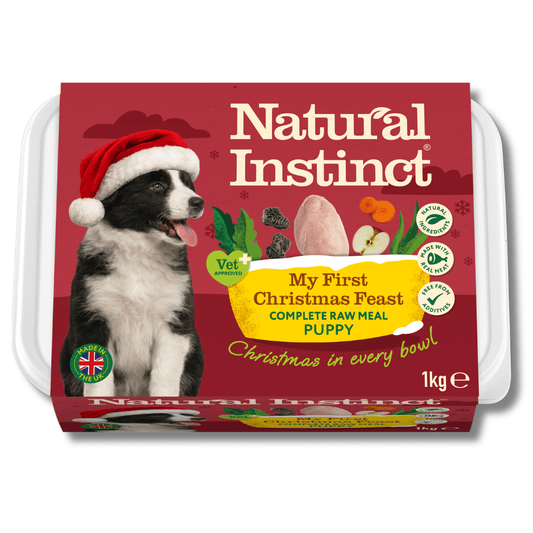 Natural Instinct My First Christmas Feast
