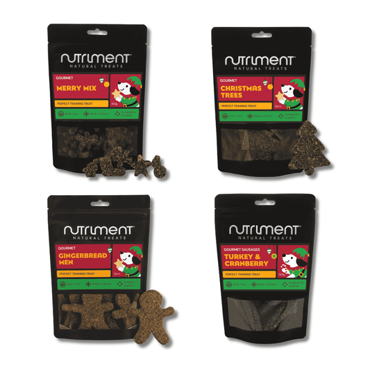 Christmas Treats Special Bundle