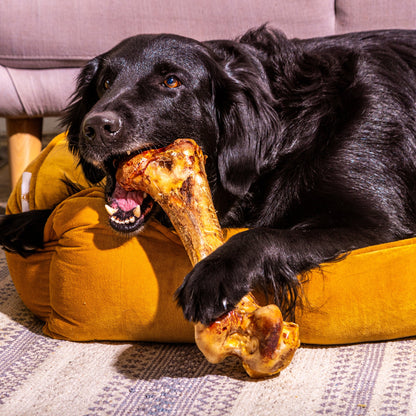 Nutriment Jumbo Ostrich Bones