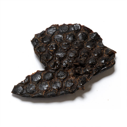 Nutriment Ostrich Liver