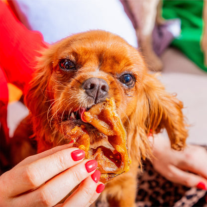 Nutriment Pig Ear Strips