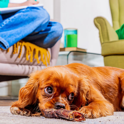 Nutriment Cut Pizzle Bites