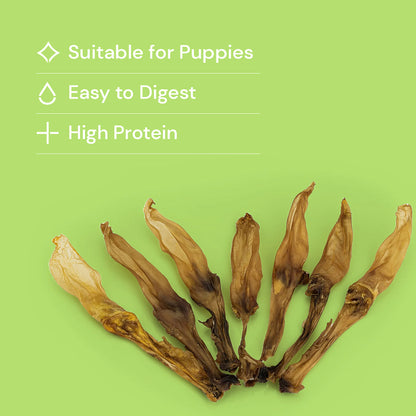 Nutriment Plain Rabbit Ears
