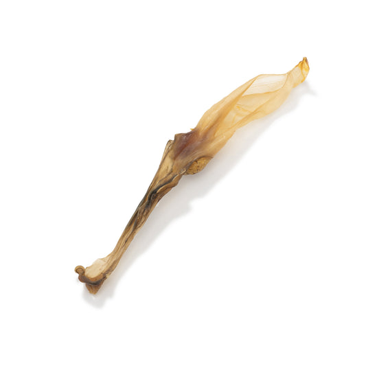 Nutriment Plain Rabbit Ears