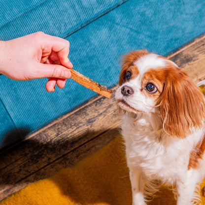 Nutriment Salmon Skin Strips