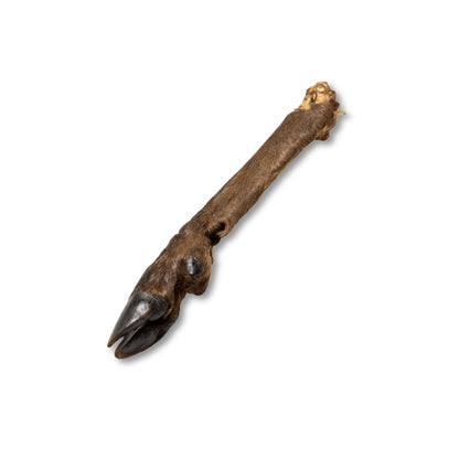 Nutriment Large Hairy Venison (Deer) Legs