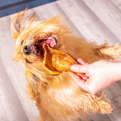 Nutriment Small Pig Ears