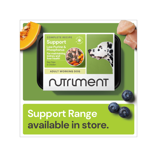 Support Window Sticker - POS