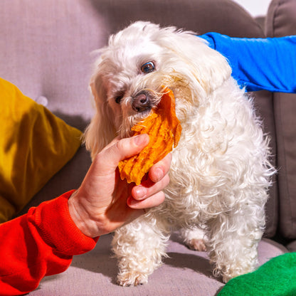 Nutriment Sweet Potato Slices