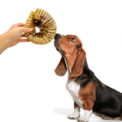 Nutriment Beef Trachea Rings
