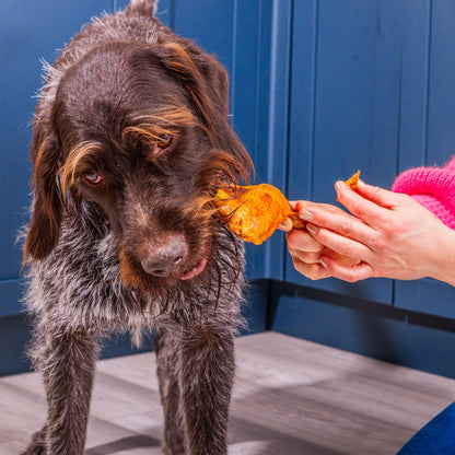 Nutriment Turkey Wings