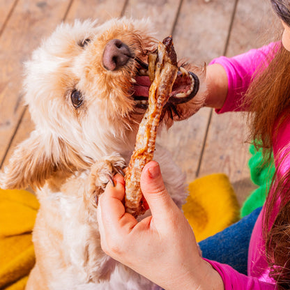 Nutriment British Lamb Trachea