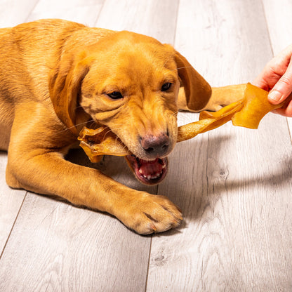Nutriment Beef Skin Chews - Cut