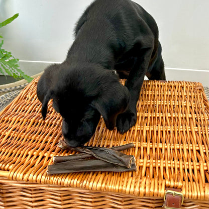 Nutriment Venison (Deer) Skins