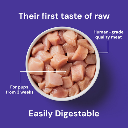 Weaning Paste Raw Chicken 500g